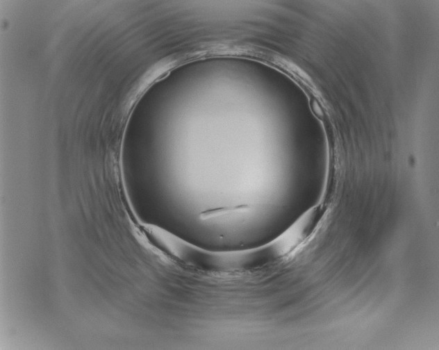 X0000076271433200610122244