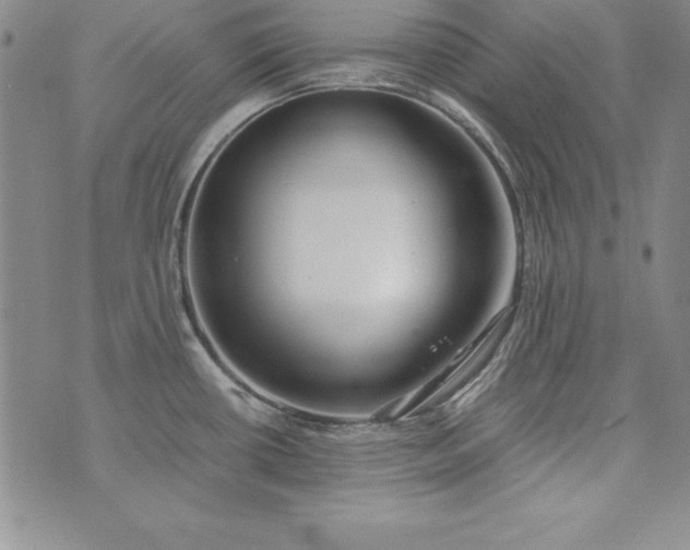 X0000076271434200610122244