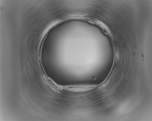 X0000076271435200610122244