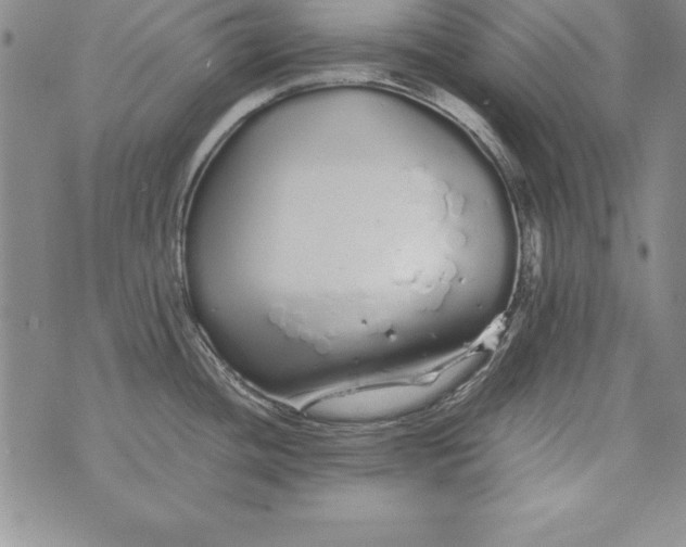 X0000076271436200610122244