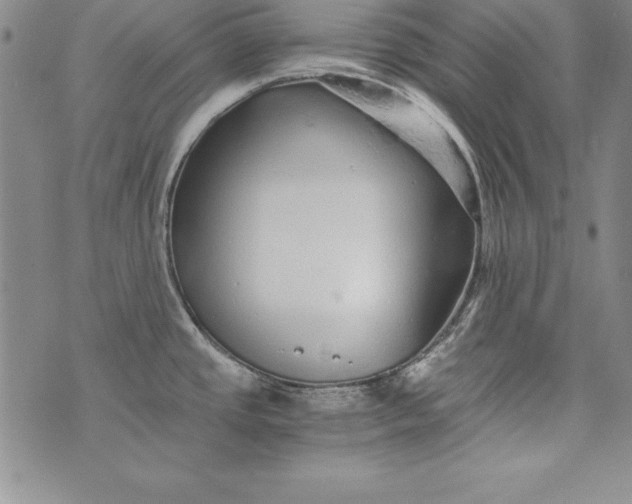 X0000076271437200610122244