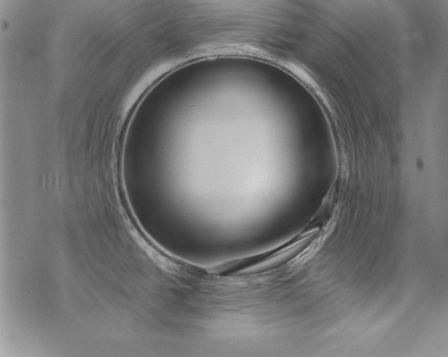 X0000076271438200610122244