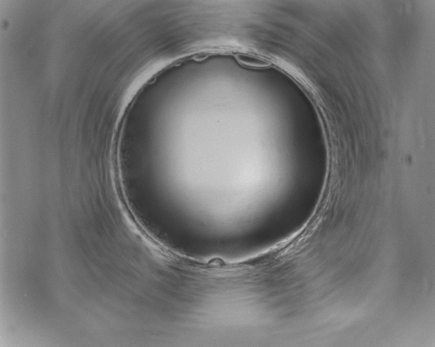 X0000076271440200610122244