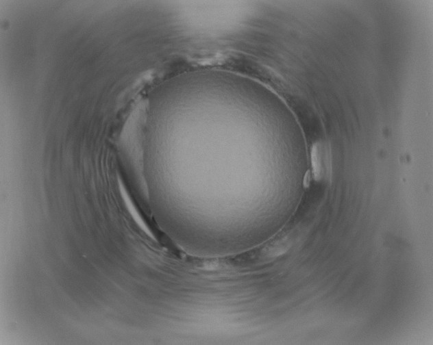 X0000076271443200610122243