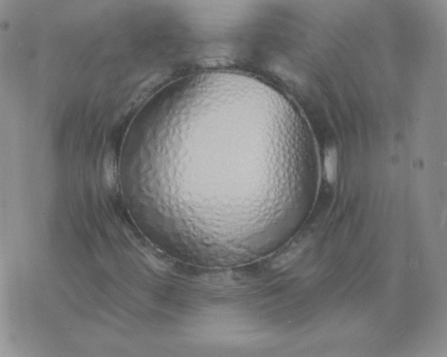 X0000076271444200610122243