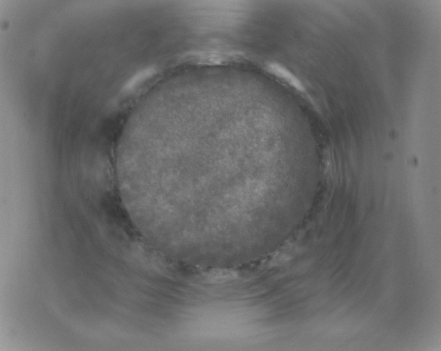 X0000076271446200610122243