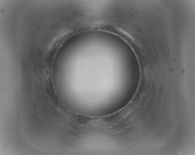 X0000076271447200610122243