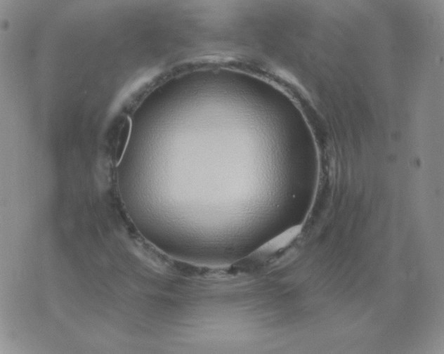 X0000076271448200610122243