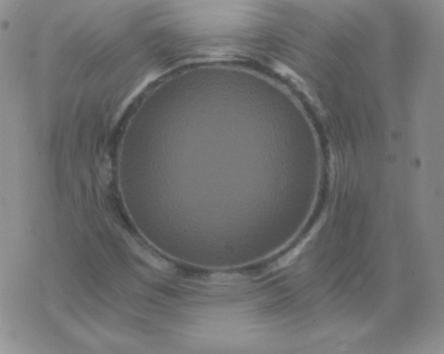 X0000076271449200610122243