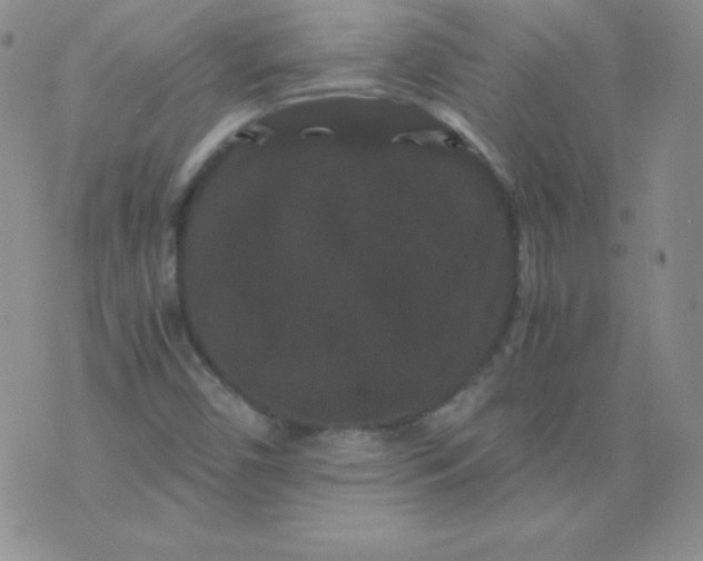 X0000076271450200610122243