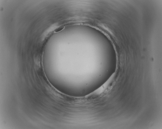 X0000076271451200610122243