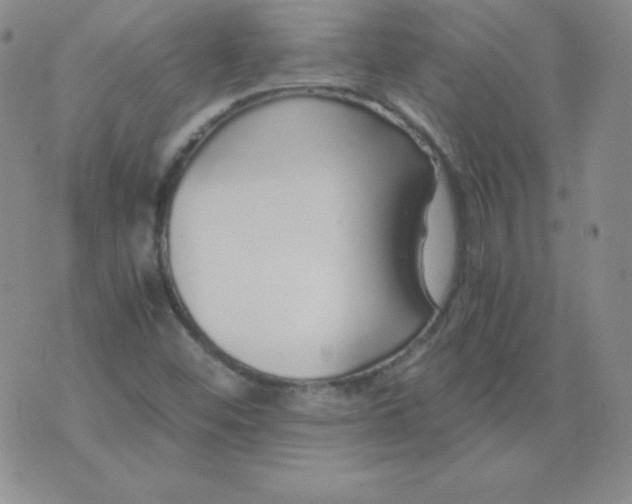 X0000076271452200610122243