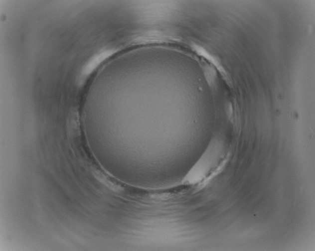 X0000076271453200610122243