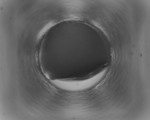 X0000076271455200610122243