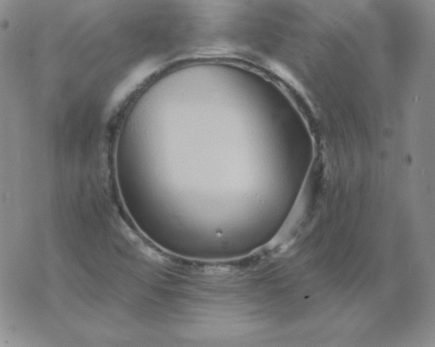 X0000076271456200610122243