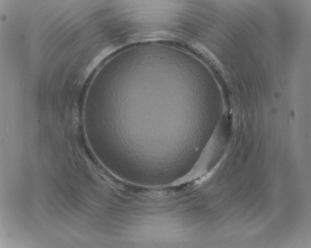 X0000076271457200610122243