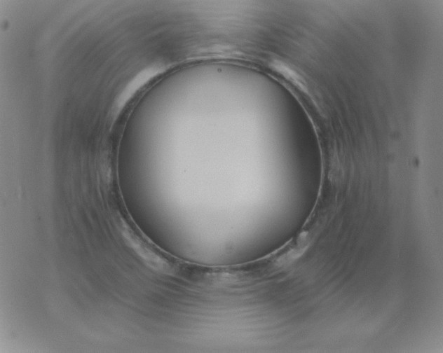 X0000076271458200610122243