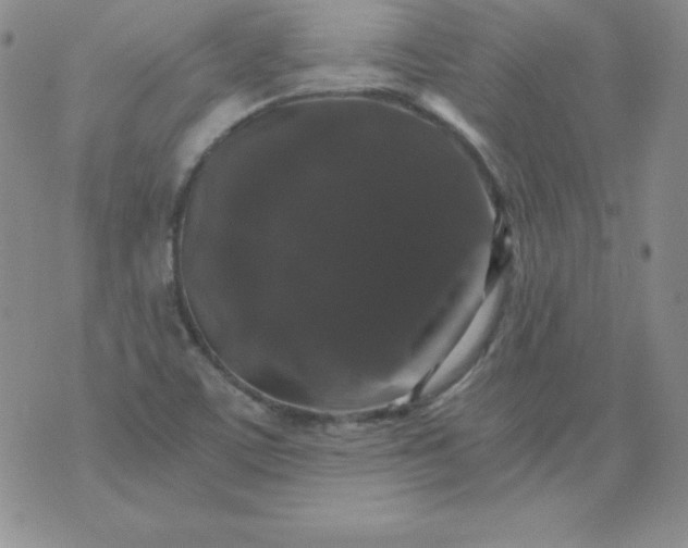 X0000076271459200610122243