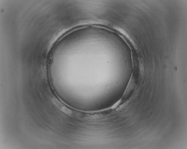 X0000076271460200610122243