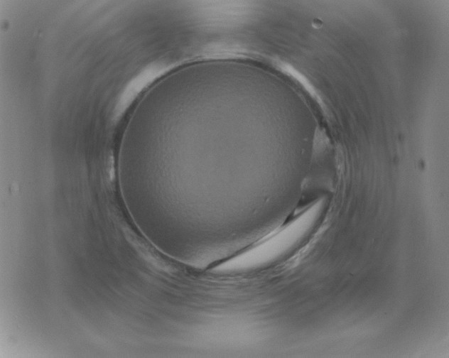 X0000076271461200610122243