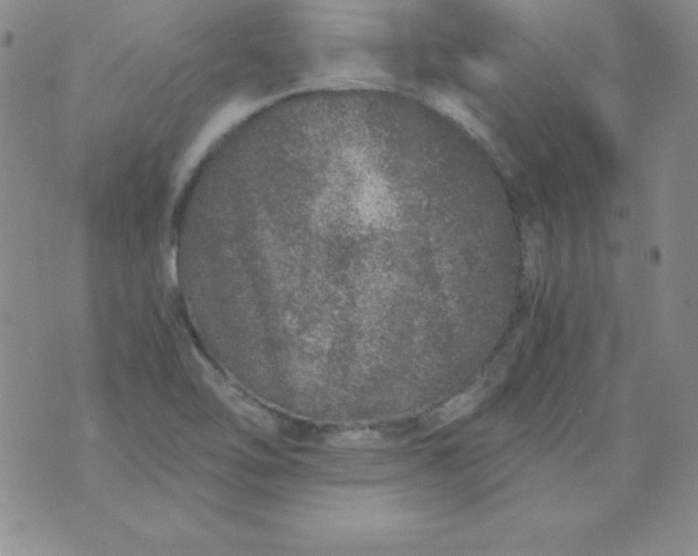 X0000076271462200610122243