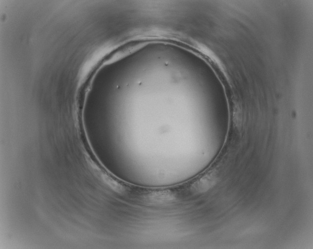 X0000076271464200610122243