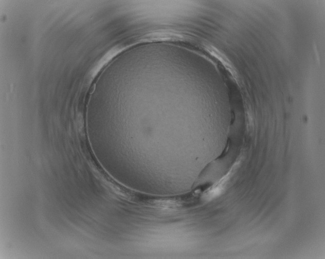 X0000076271465200610122243