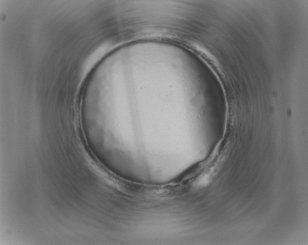 X0000076271467200610122243