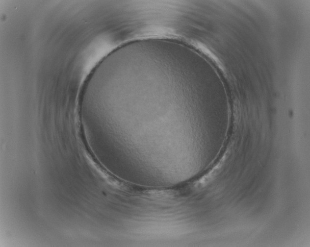 X0000076271469200610122243