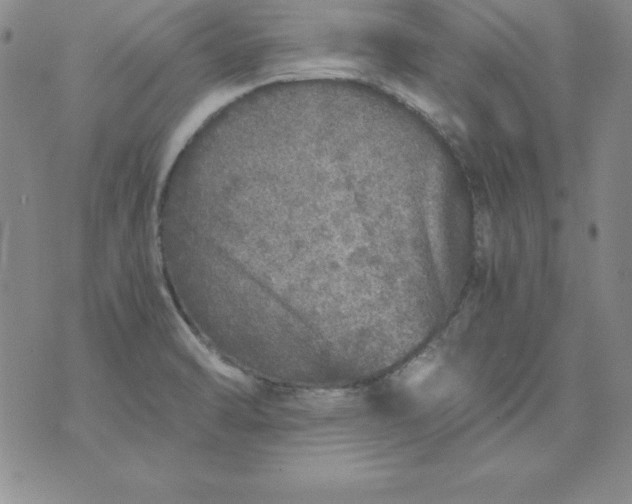 X0000076271470200610122243