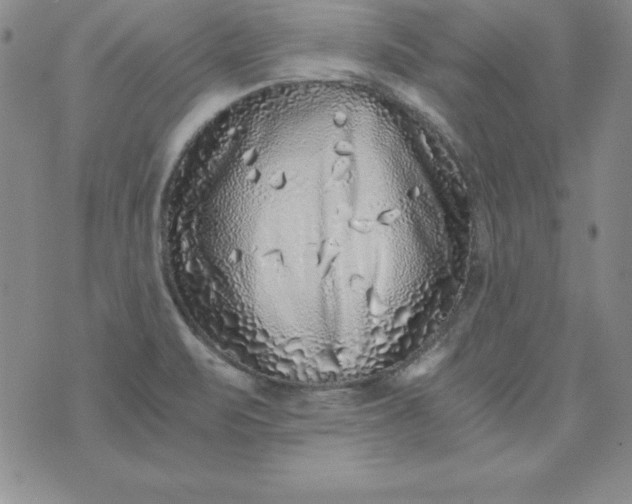 X0000076271471200610122243