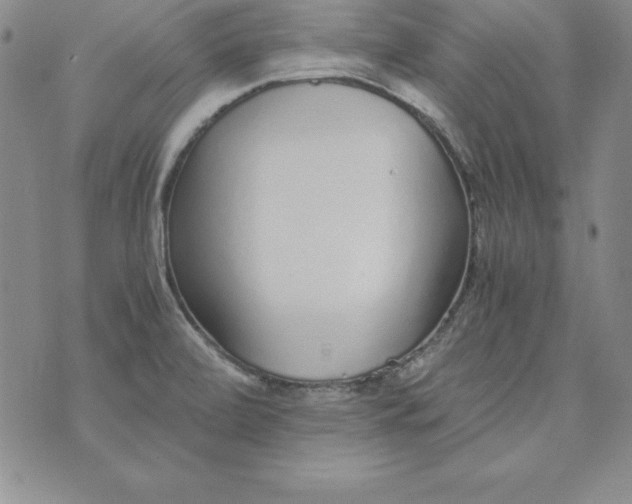 X0000076271472200610122243