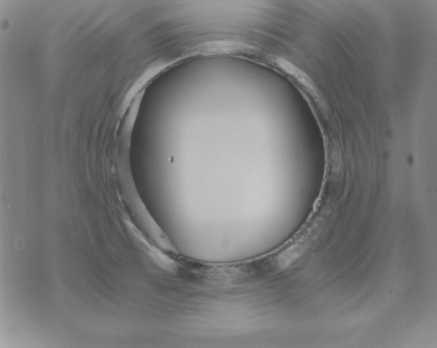 X0000076271473200610122243