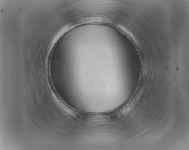 X0000076271475200610122243