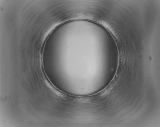 X0000076271476200610122243