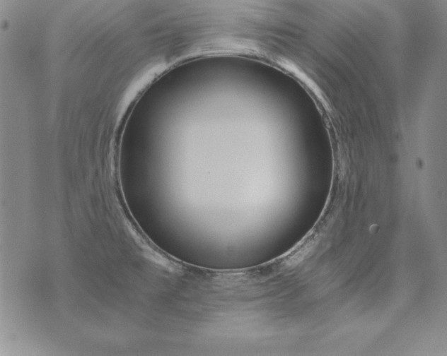 X0000076271477200610122243