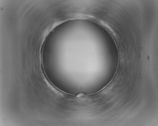 X0000076271479200610122243