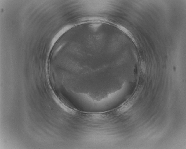 X0000076271482200610122243