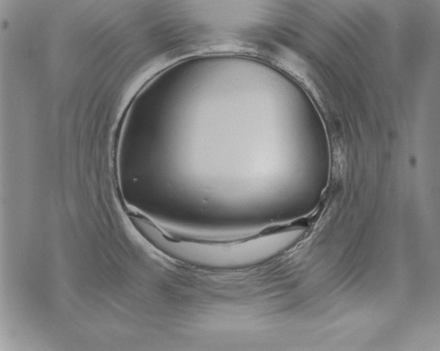 X0000076271483200610122243