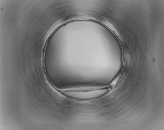 X0000076271484200610122243