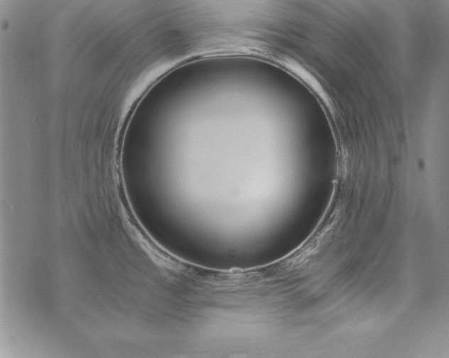 X0000076271485200610122243