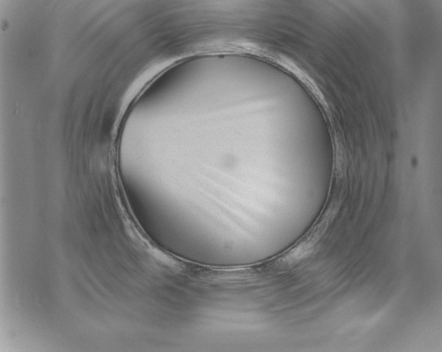 X0000076271486200610122243