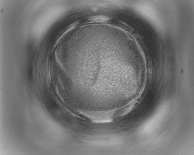 X0000076271487200610122243