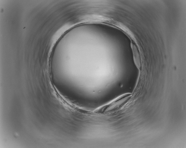 X0000076271488200610122242