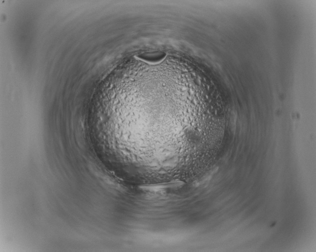 X0000076271489200610122242