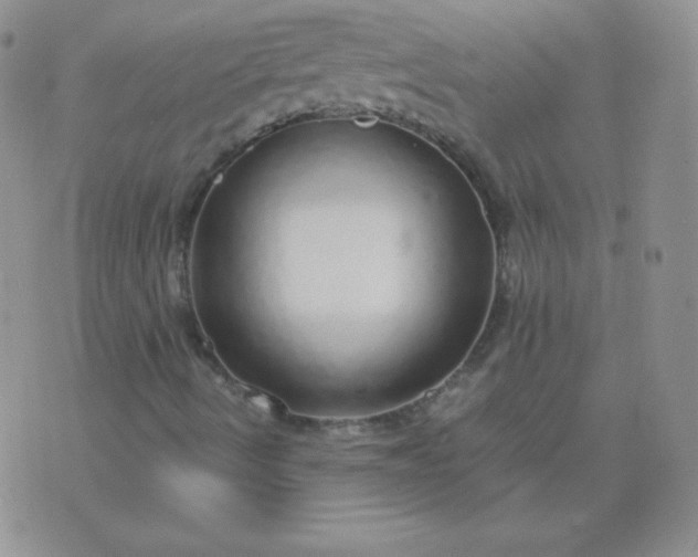 X0000076271490200610122242