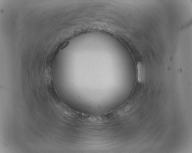 X0000076271491200610122242