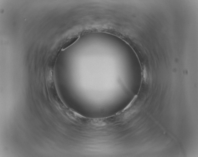 X0000076271492200610122242