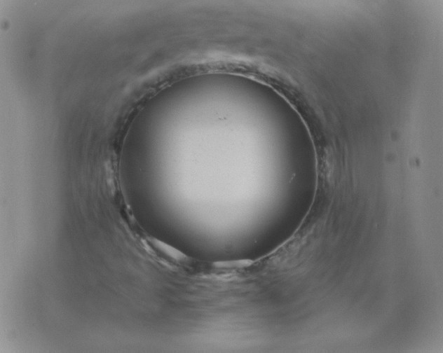 X0000076271493200610122242