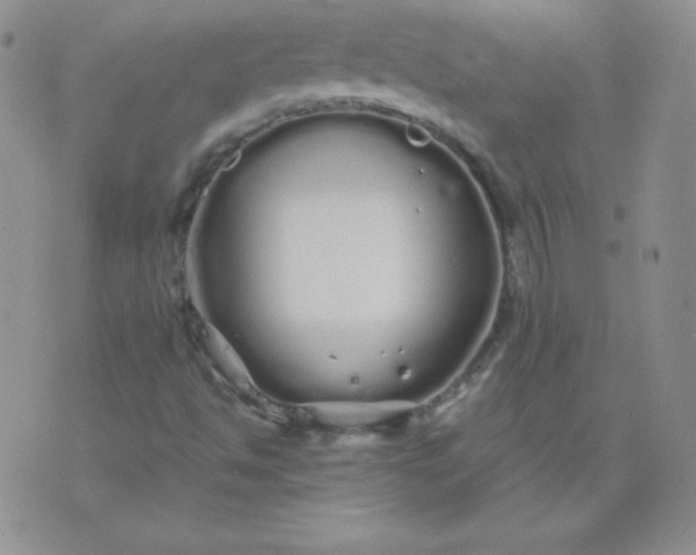 X0000076271494200610122242